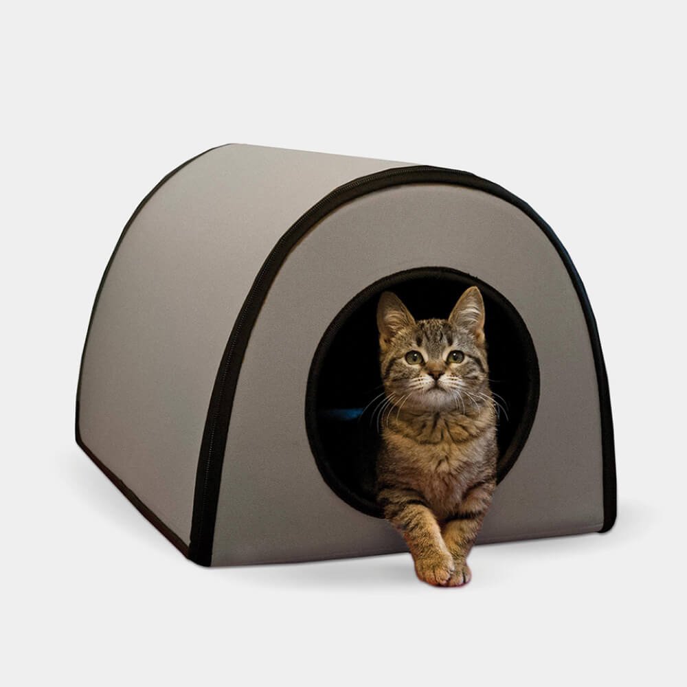 Image_product_#10