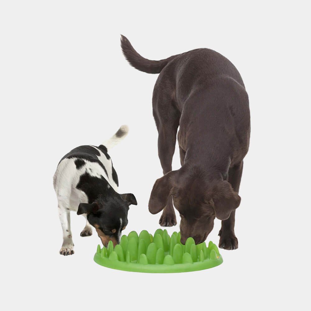 Image_product_#6